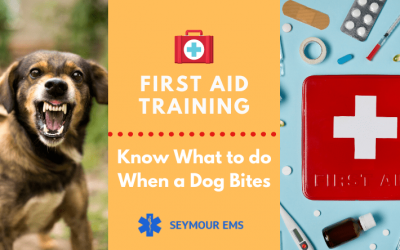 First Aid Training: How To Treat Dog Bites